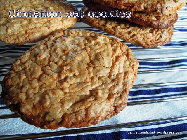 cinnamon oat cookie