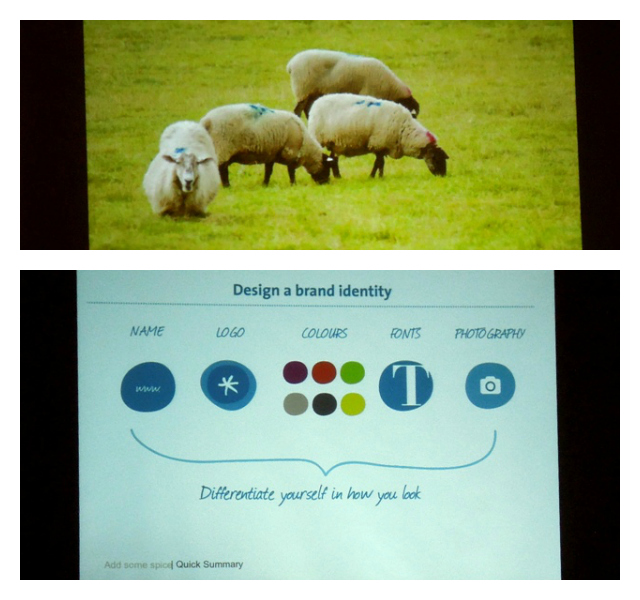 Essence Design Collage