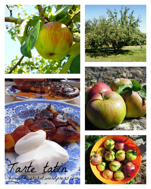 Apple Collage