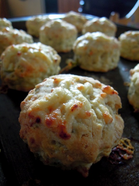 cheese and apple scones