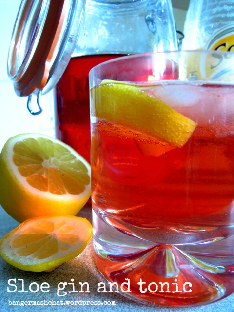 sloe gin and tonic