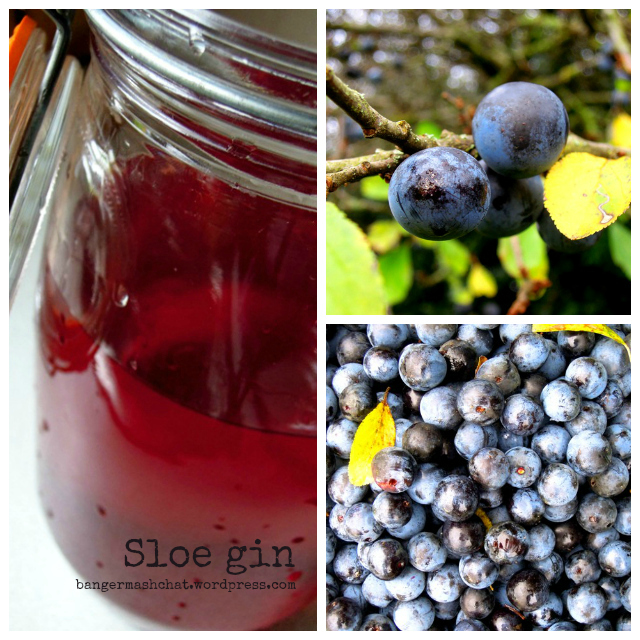 sloe gin Collage