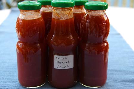 scotch_bonnet_sauce