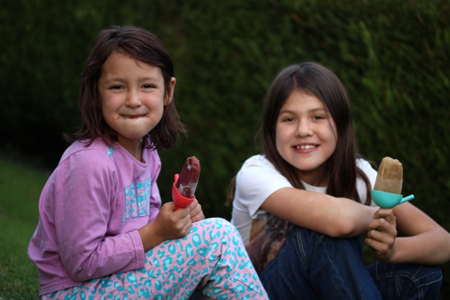 ice lollies2