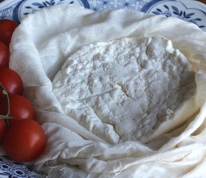 ricotta