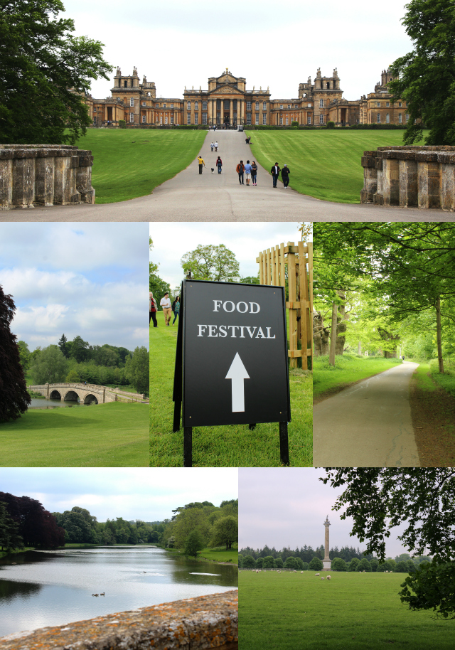 Blenheim Palace Collage