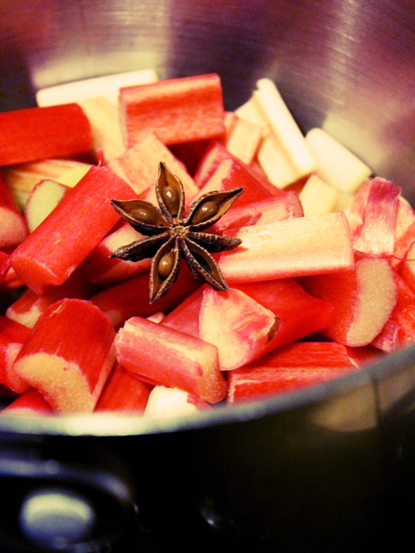 rhubarb star anise